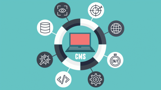Infographic of elements of a CMS website