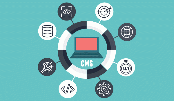 Inforgraphic of elemets of a CMS website